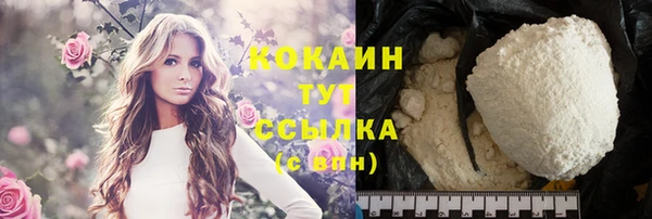 шишки Абинск