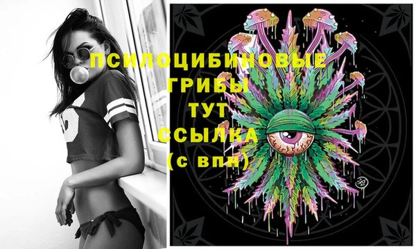 шишки Абинск