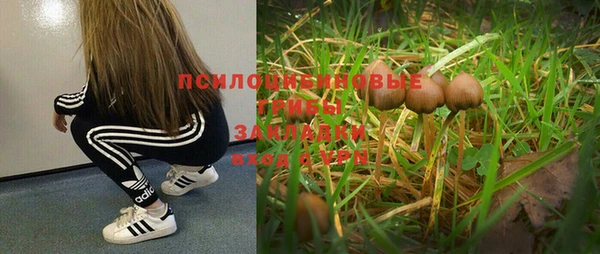 тгк Алзамай