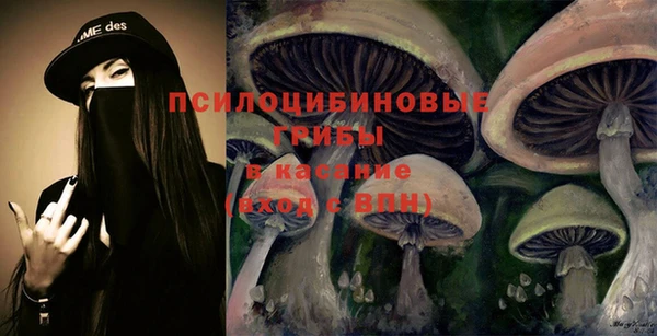 синтетический гашиш Алексин