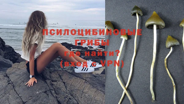 гидропоника Абаза