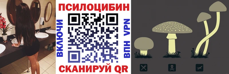 что такое   Кострома  Галлюциногенные грибы Psilocybe 
